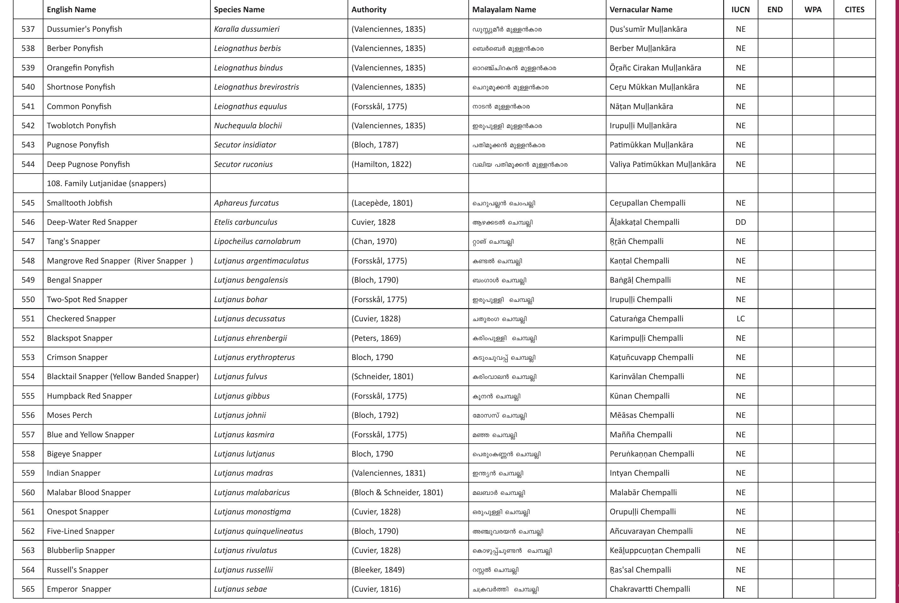 Table 24 A Checklist Of Fishes Of Kerala India Table 24 a checklist of fishes of kerala india
