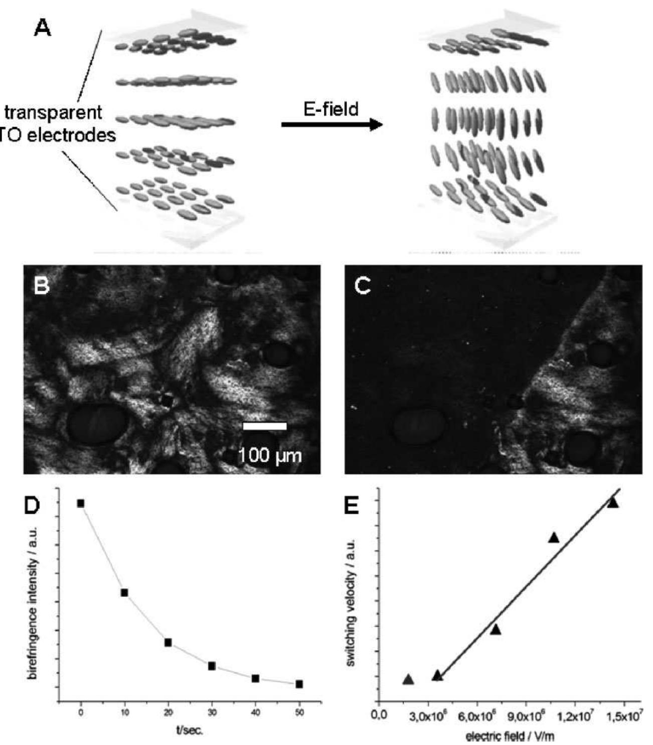 Figure 3 - from Orientation and Dynamics of ZnO Nanorod