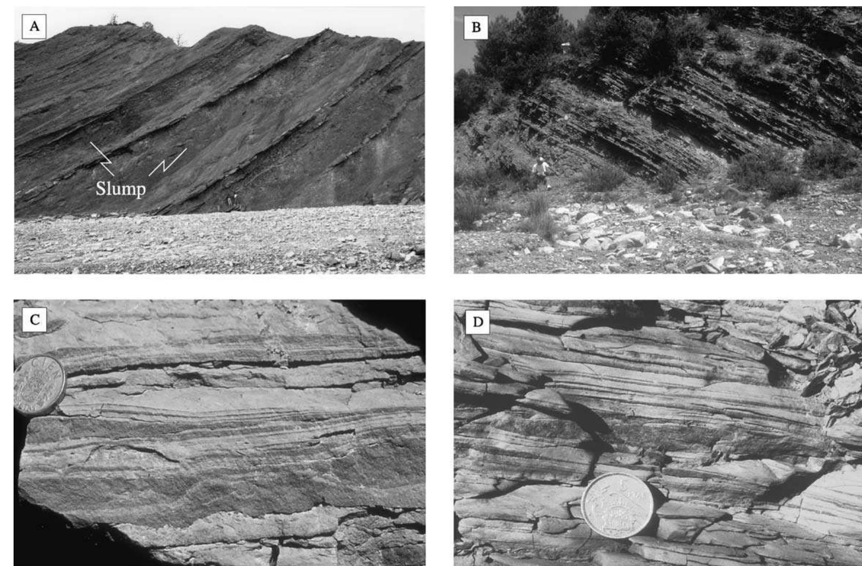 Examples of stacking patterns and facies characteristics of