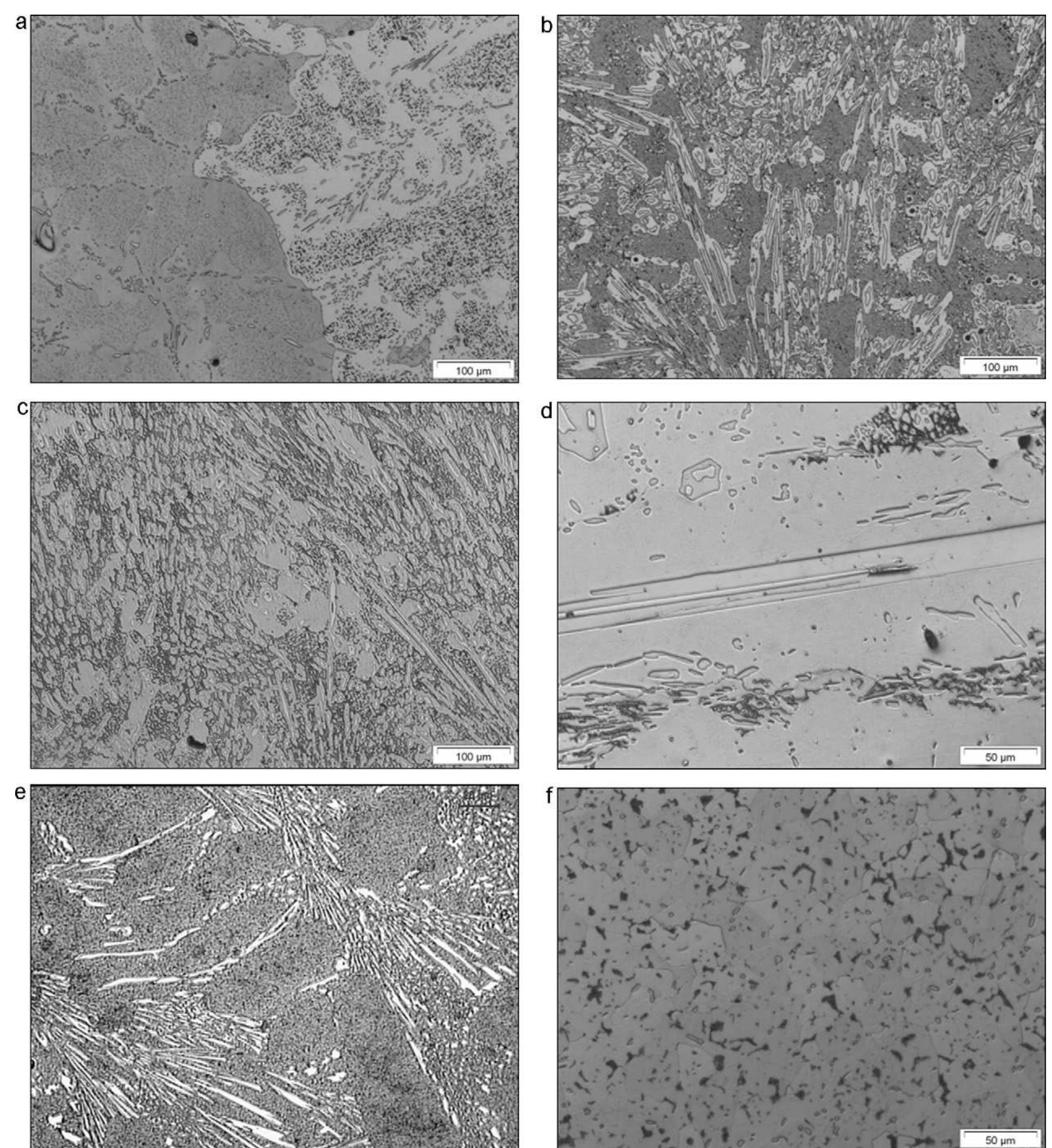 Optical images of alloys microstructures, showing the