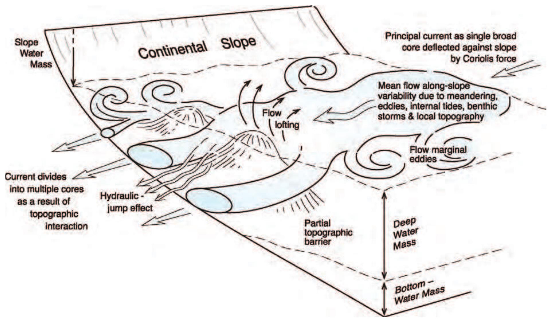 (PDF) SEDIMENTARY ENVIRONMENTS | Contourites