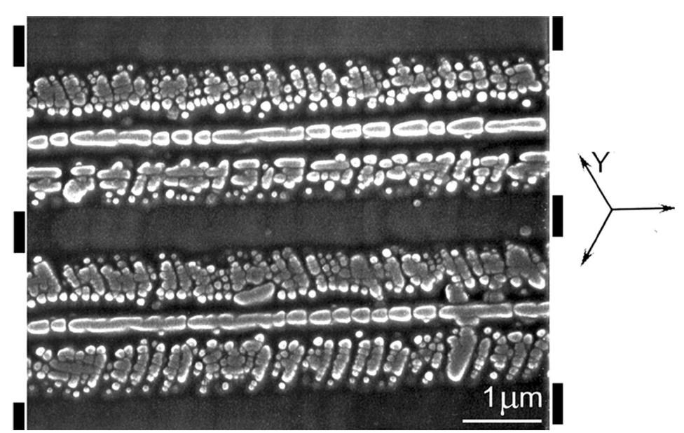 (PDF) Domain Engineering in Lithium Niobate and Lithium Tantalate ...