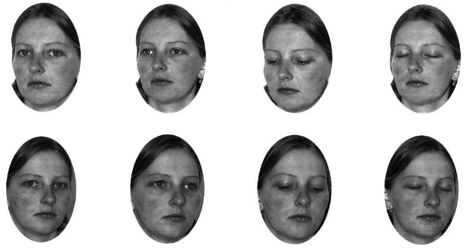 (PDF) Reading the mind from eye gaze