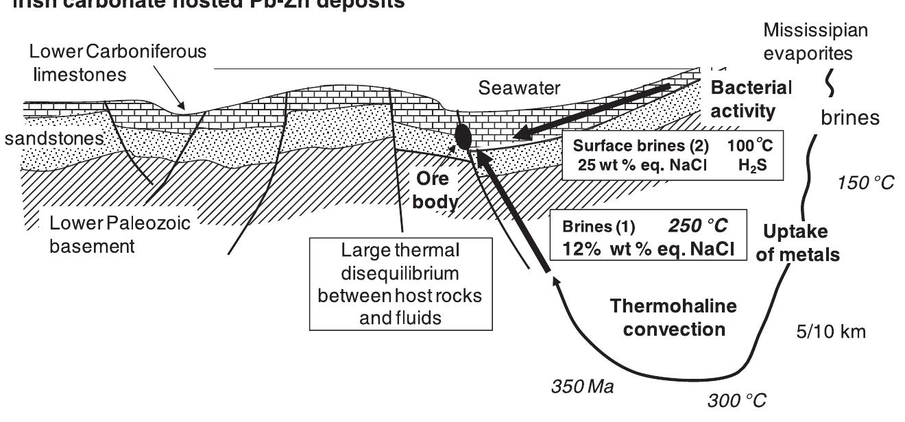 Fluid flows and metal deposition near basement/cover unconformity ...