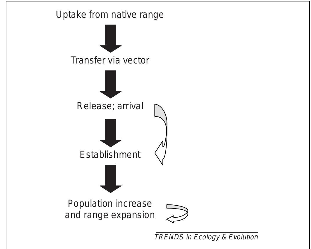 (PDF) The role of propagule pressure in explaining species invasions