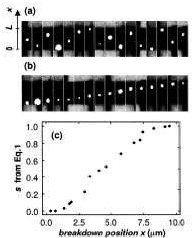 Fig. 2. Emission microscope images of 16 L = 10 ym nFETs after gate-oxide breakdown taken at V;, between 2 and 3 V (a) ordered randomly and (b) sorted according to parameter s determined on each FET. (c) Parameter s is a unique monotonic function of the breakdown spot position x detemined from (a) for each of the 16 FETs. Approximately equidistant spacing between ordered breakdown positions is apparent in (b) and (c). 