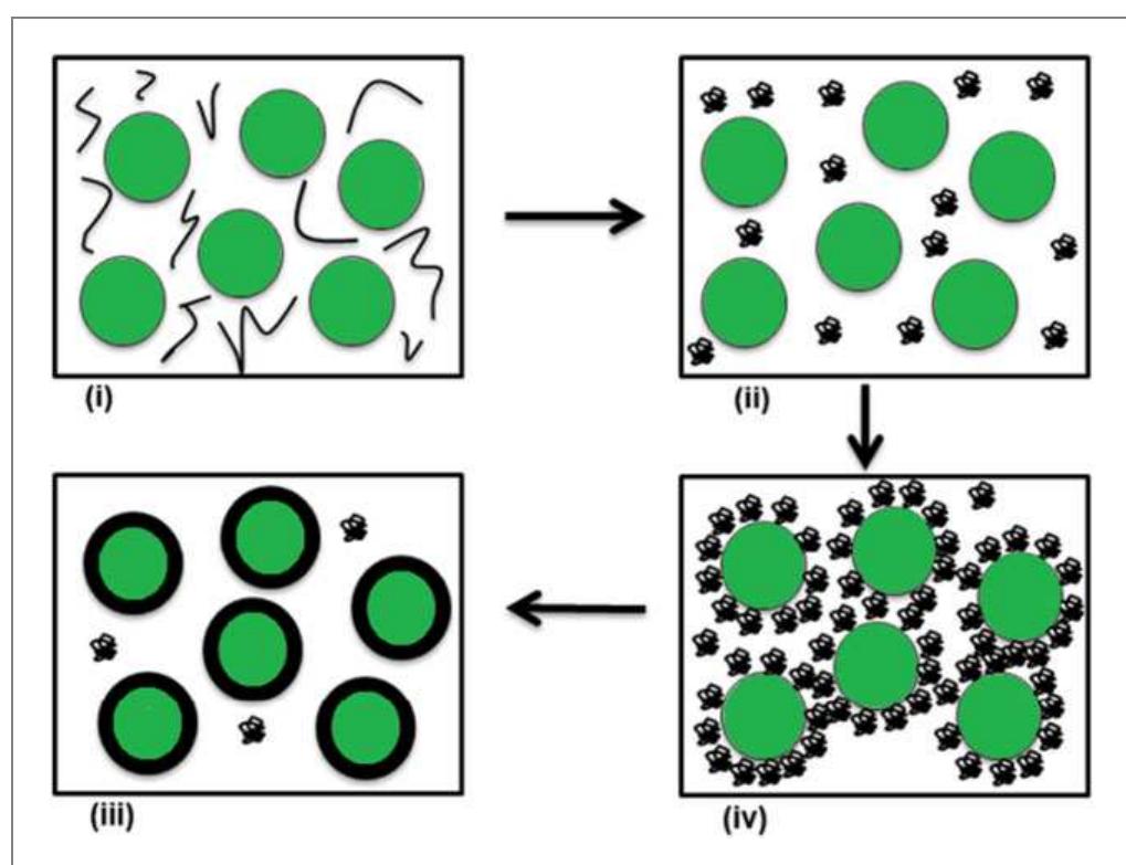Figure 8 - from Microencapsulation of Oils: A Comprehensive