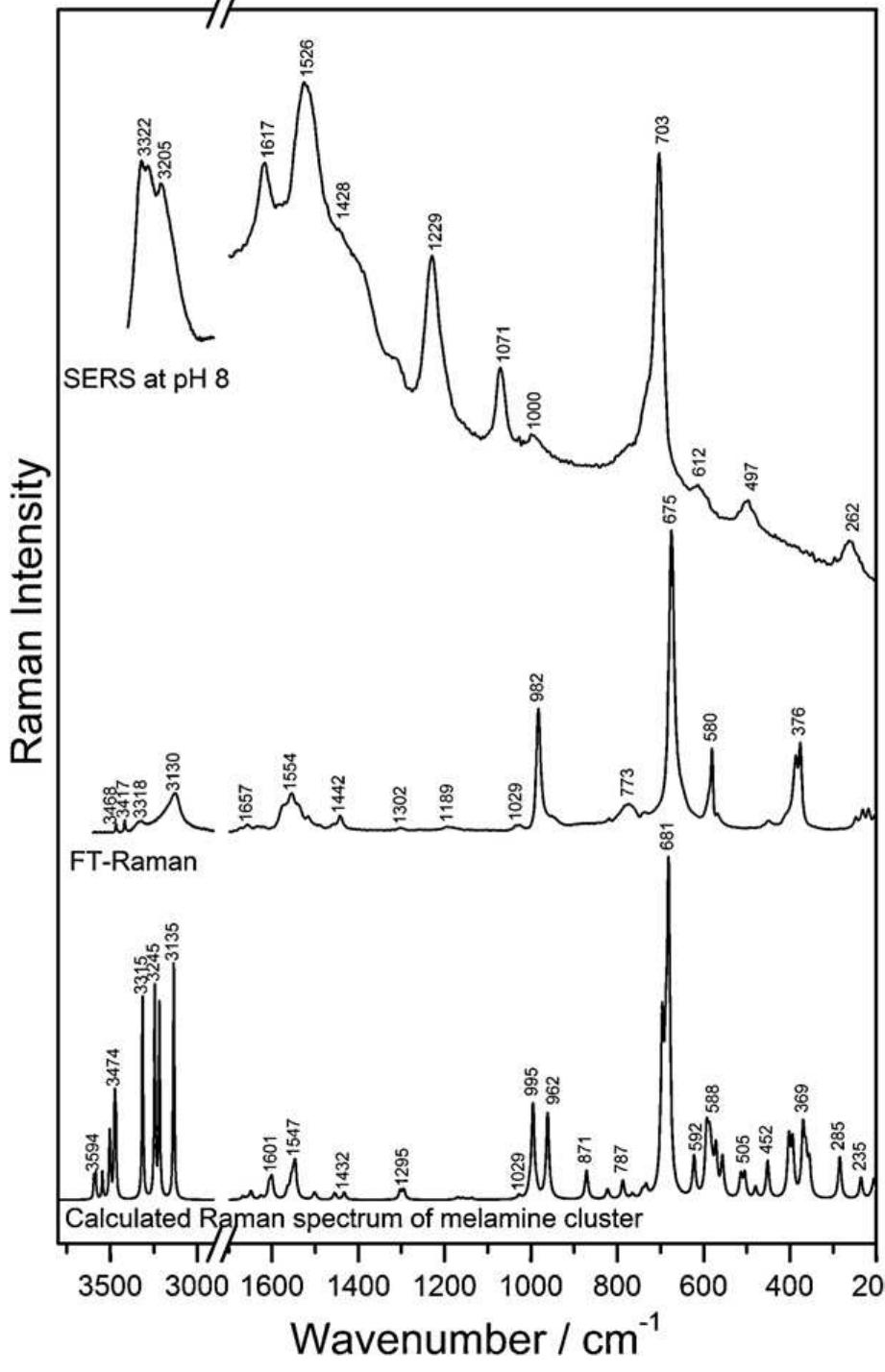 Figure 3 - from FTIR, FT-Raman, SERS and DFT study on