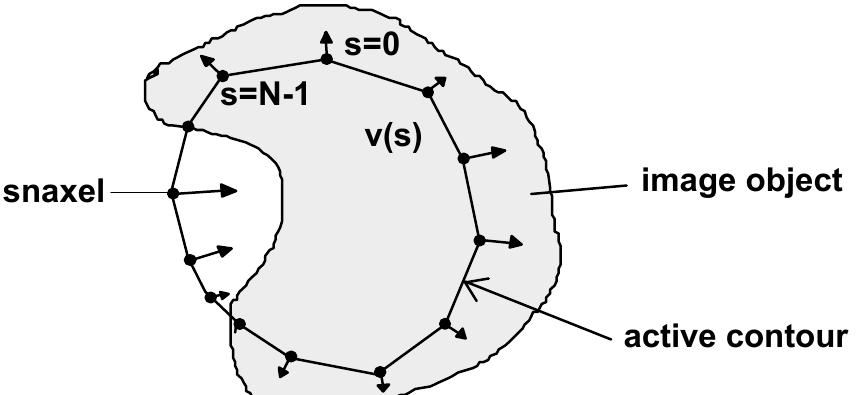 (PDF) Application of an active contour model for extraction of fuzzy ...