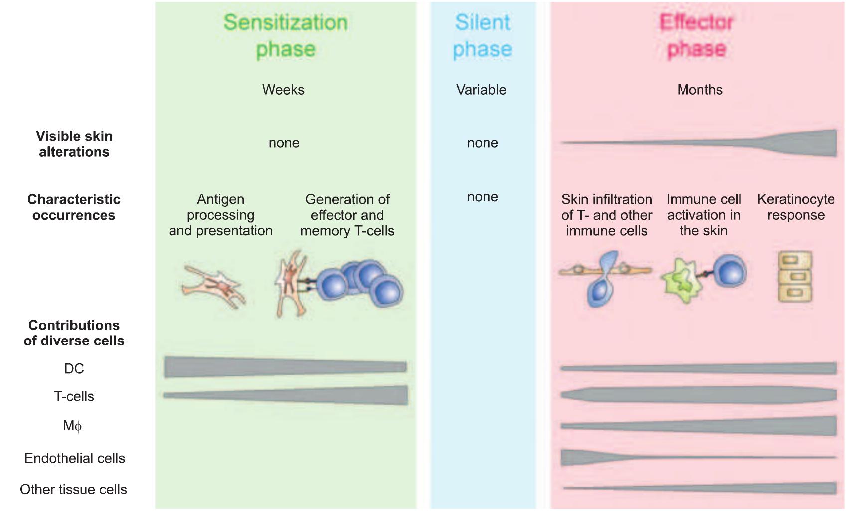 (PDF) Immunopathogenesis of psoriasis