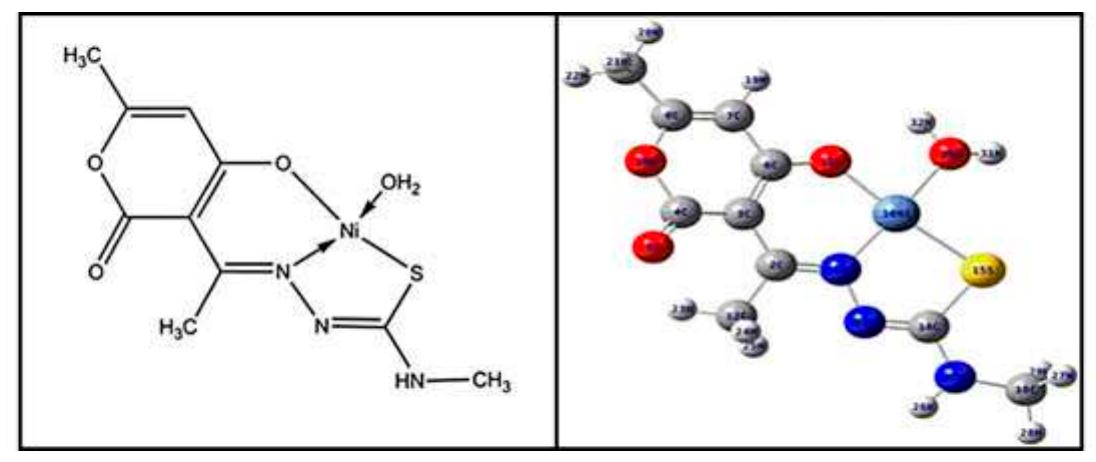 Figure 3 - from Nickel(II) complexes of ONS donor Schiff