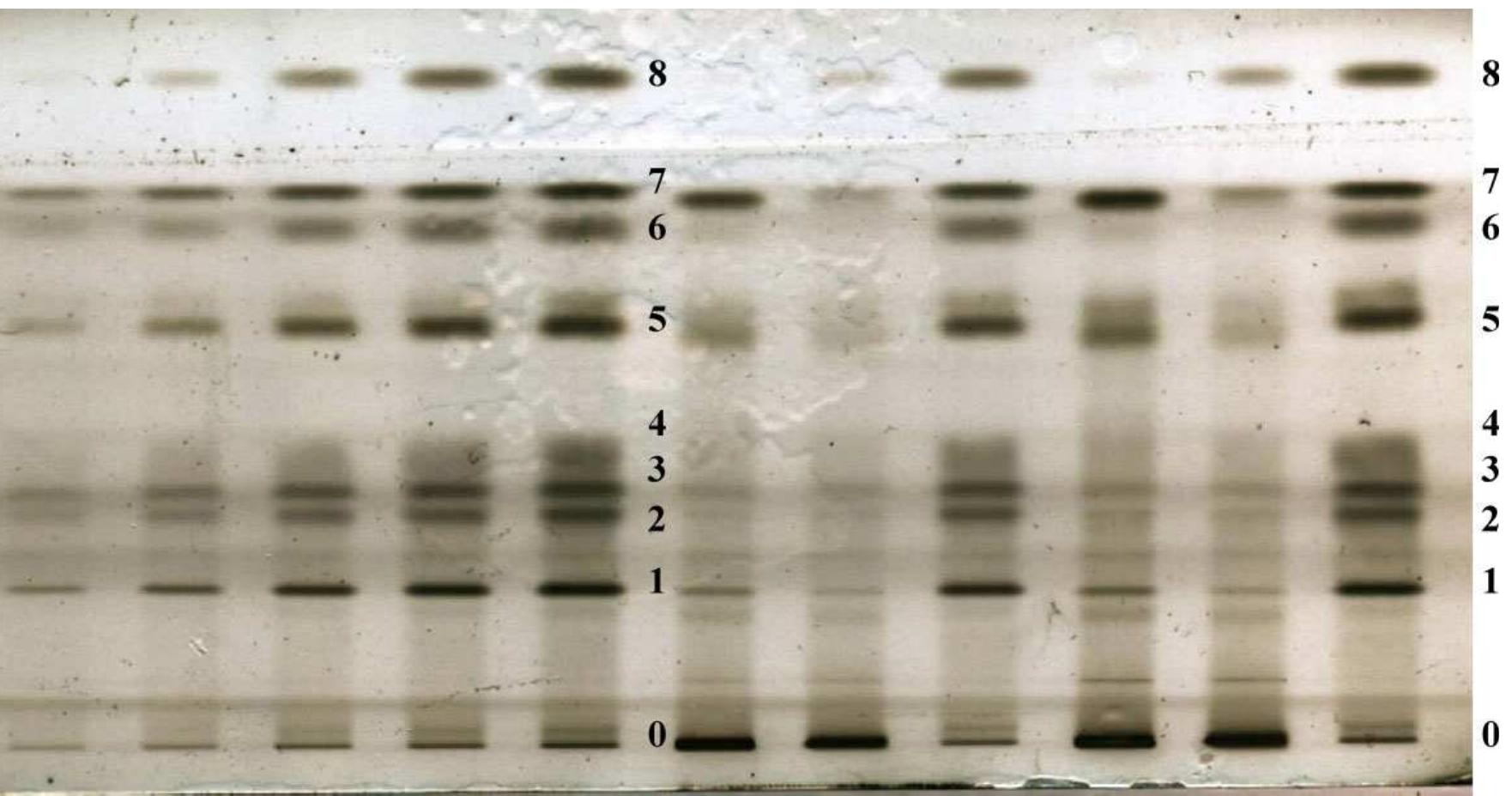 Useb Neutral Identification (PDF) A simple method for the separation and quantification of neutral ...