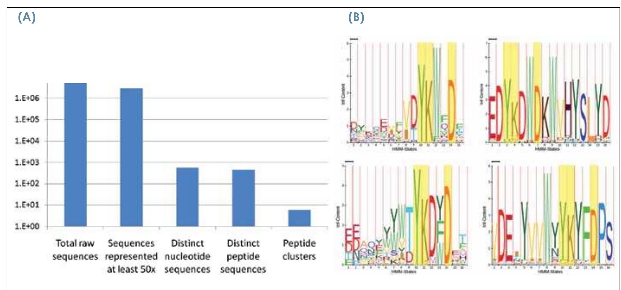 (PDF) CIS display, a DNA-based in vitro selection technology for ...