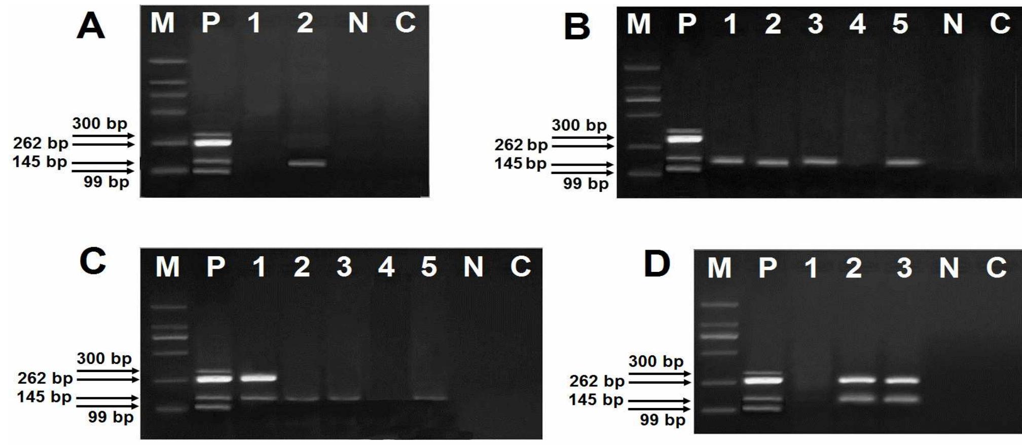 (PDF) A novel Multiplex PCR Method for Simultaneous Detection of ...