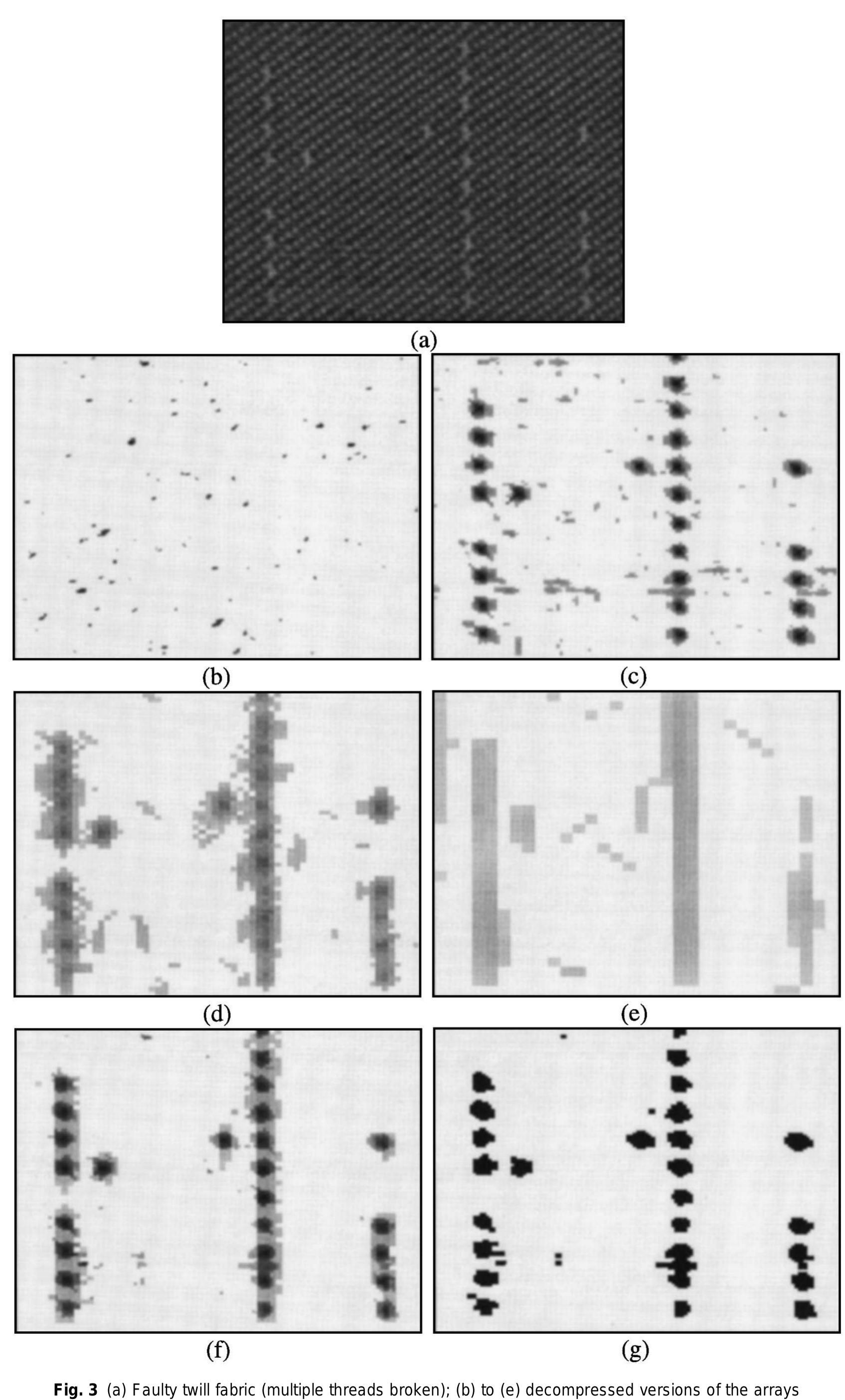 Mispick Defect Schematic diagram of the segmentation procedure: (a) main