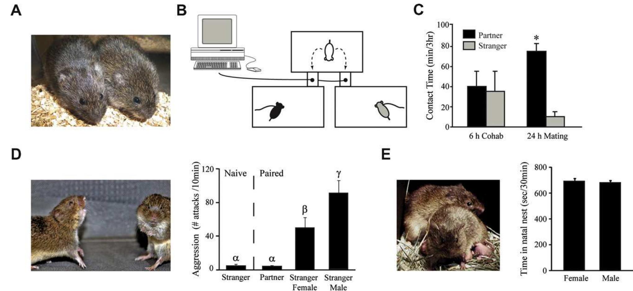 Prairie Test Laboratory characterization of behaviors associated with