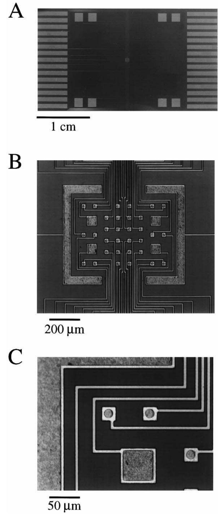 Planar Microelectrode Array (PDF) Description and demonstration of a CMOS amplifier-based-system ...