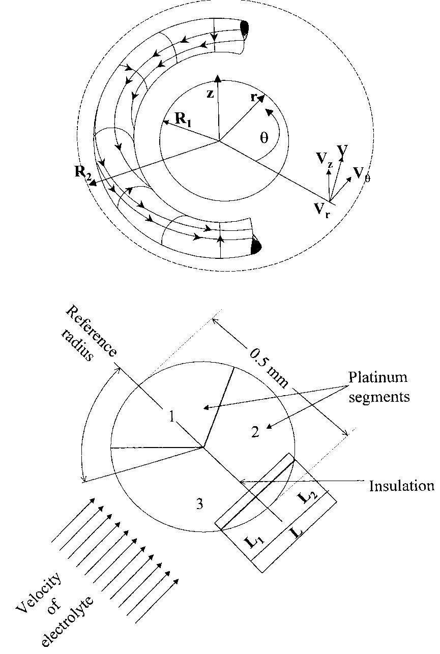 Fig. 2. Characterization of Taylor-Couette fluid flow: (a) structure of a Taylor vortex for flow stream tube and three-segment elec- trodiffusion probe; (b) expanded view of three-segment probe. 