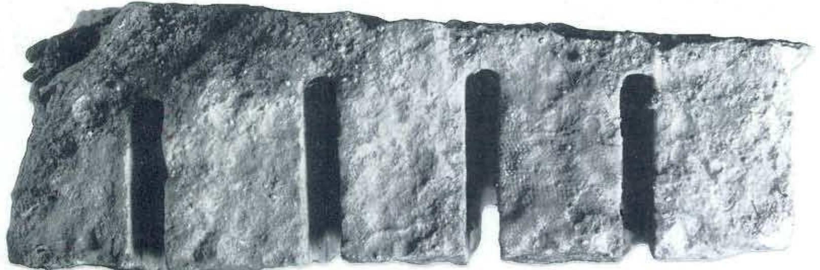 Figure 1 - from Shallow marine bioerosion: preliminary