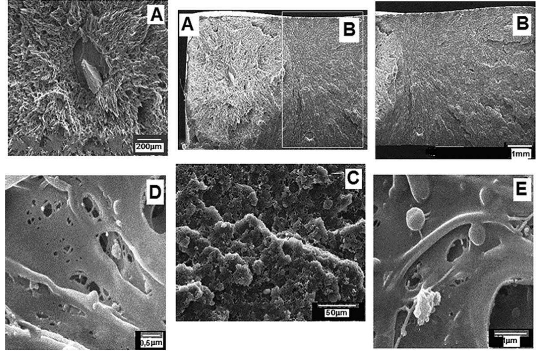 (PDF) Thermomechanical properties of virgin and recycled polypropylene ...