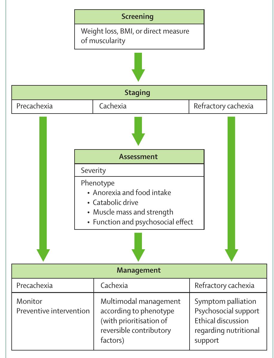 Cachexic Signs Figure 3 - Definition and classification of cancer cachexia: