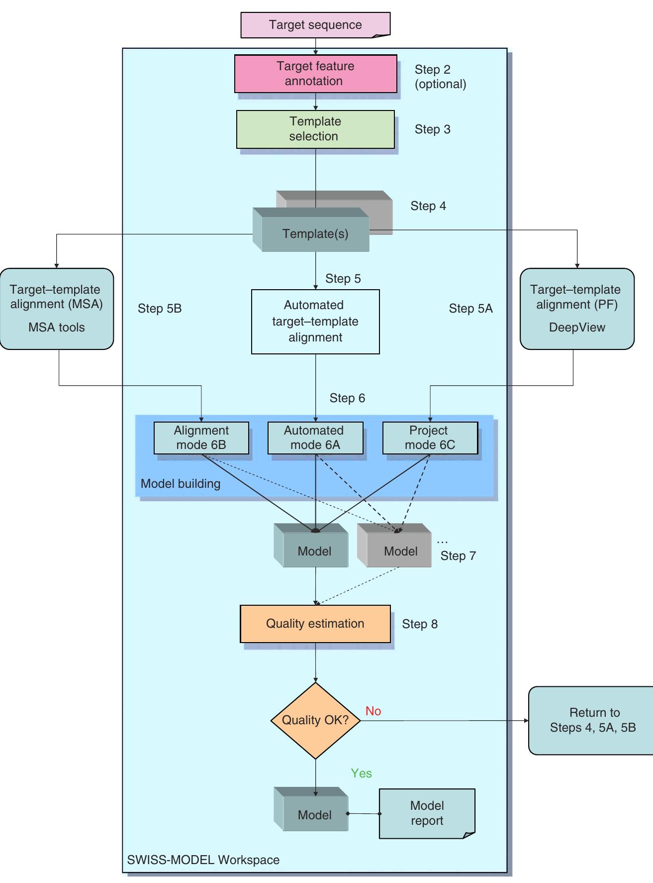 (PDF) Protein structure homology modeling using SWISS-MODEL workspace