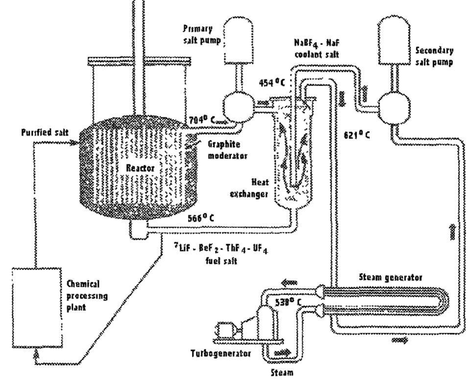 Evolution of plutonium and uranium inventories during the
