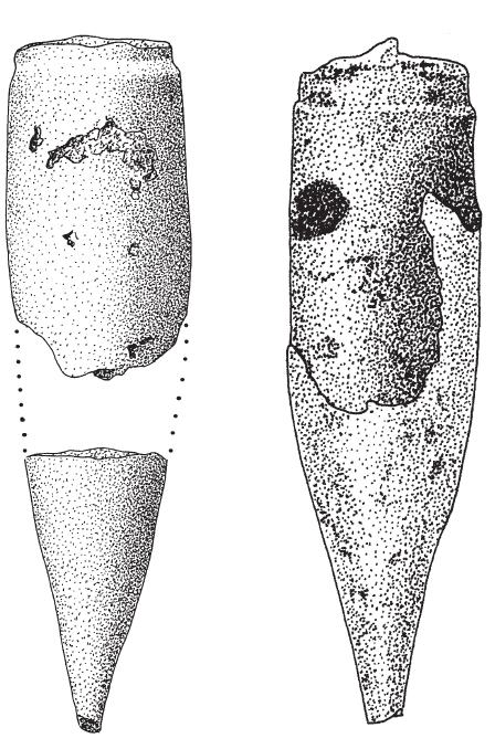 PDF) Systematics and biostratigraphy of holoplanktonic