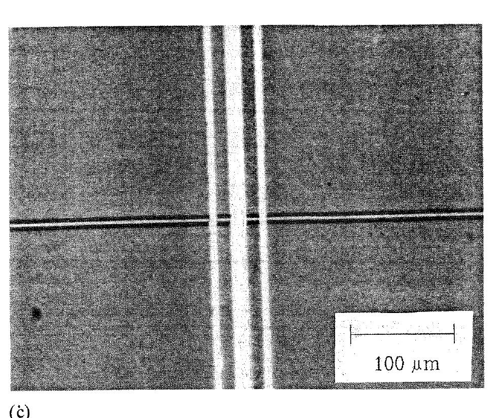 Micrographs of the lc chip. (a) full view, (b) detector