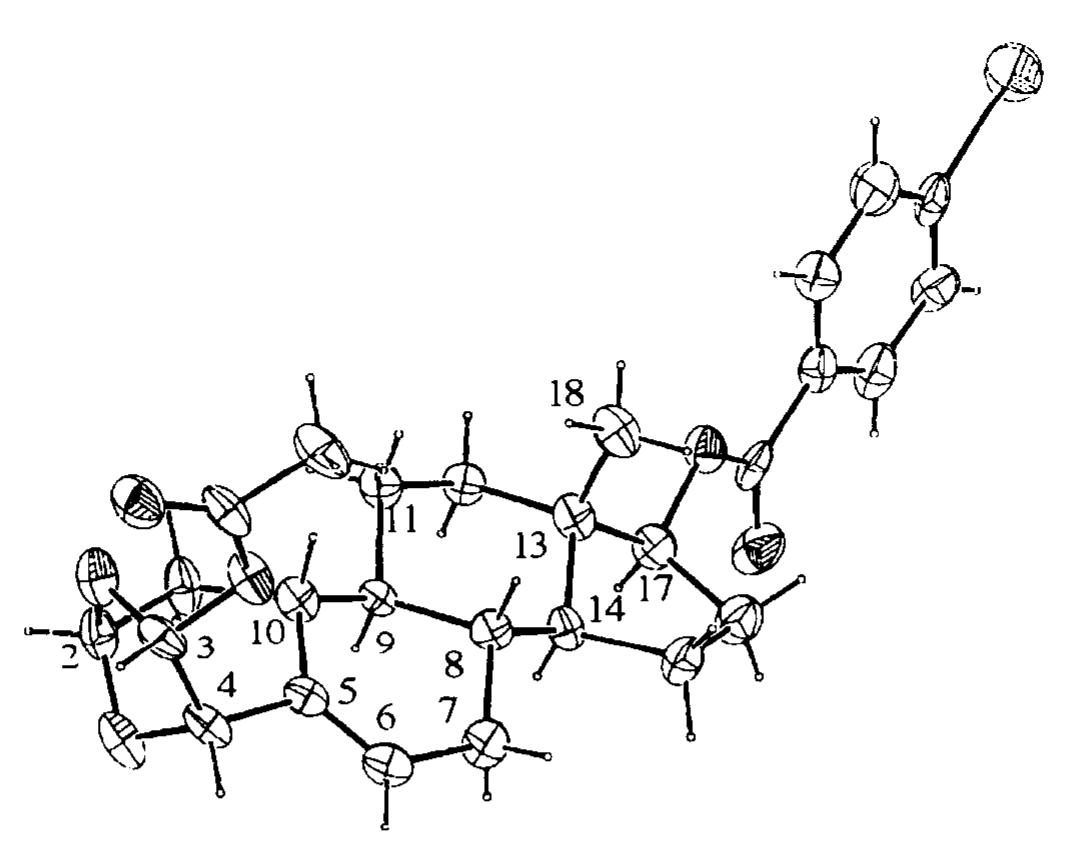 Perspective drawing of the x-ray structure of 11 subsequent