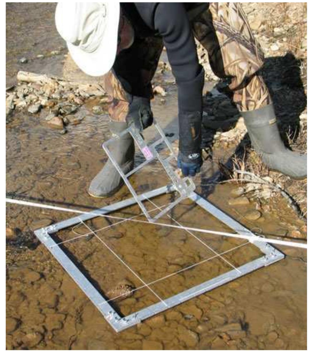 Sampling frame as used in this study: one frame corner