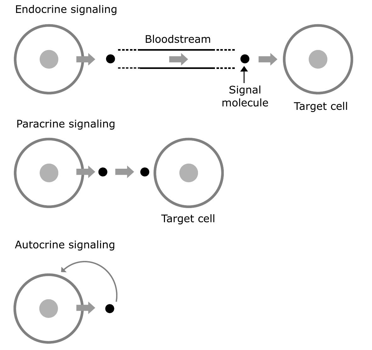(PDF) Life Sciences Fundamentals and Practice Part -I