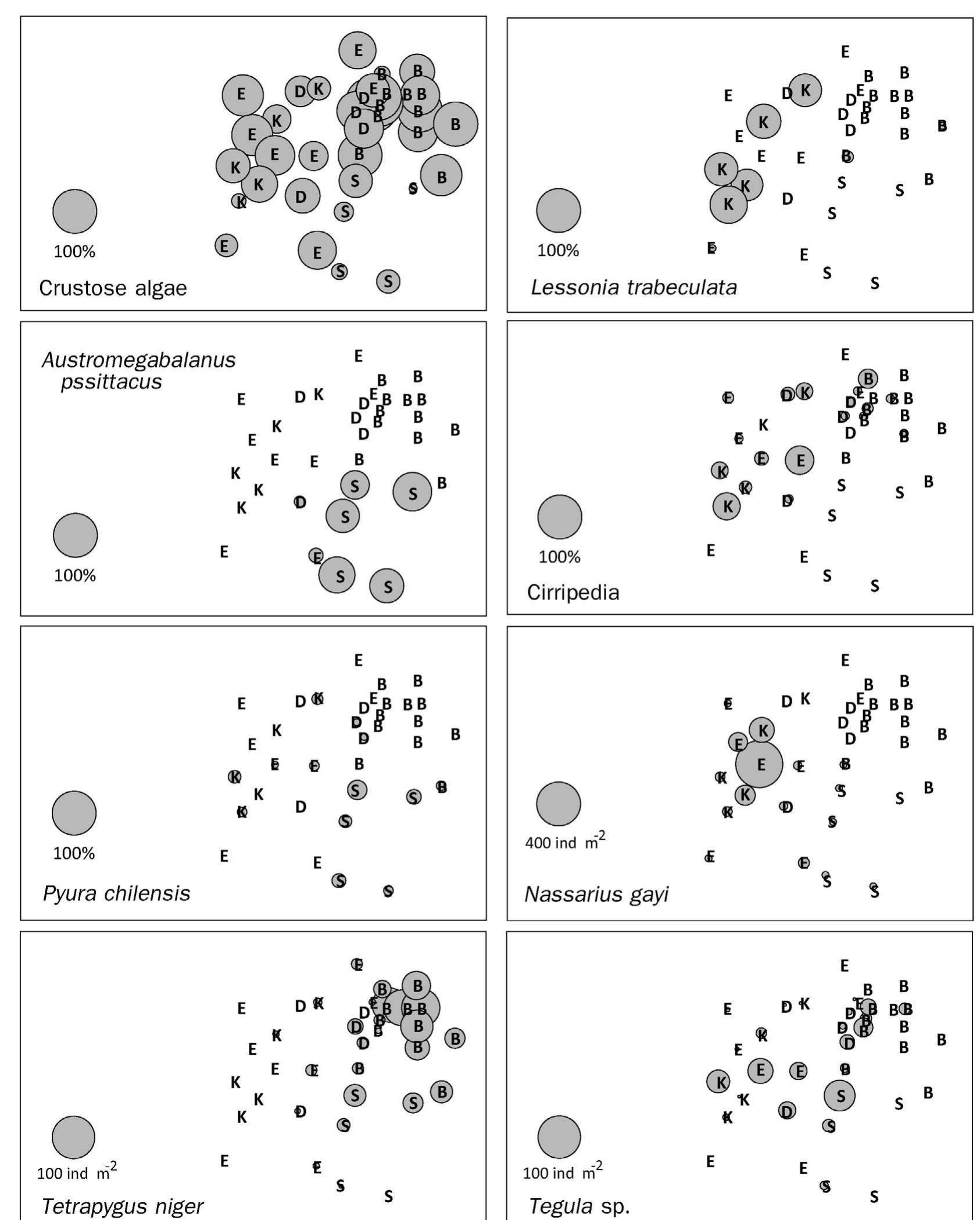(PDF) Vertical distribution of rocky subtidal assemblages along the ...