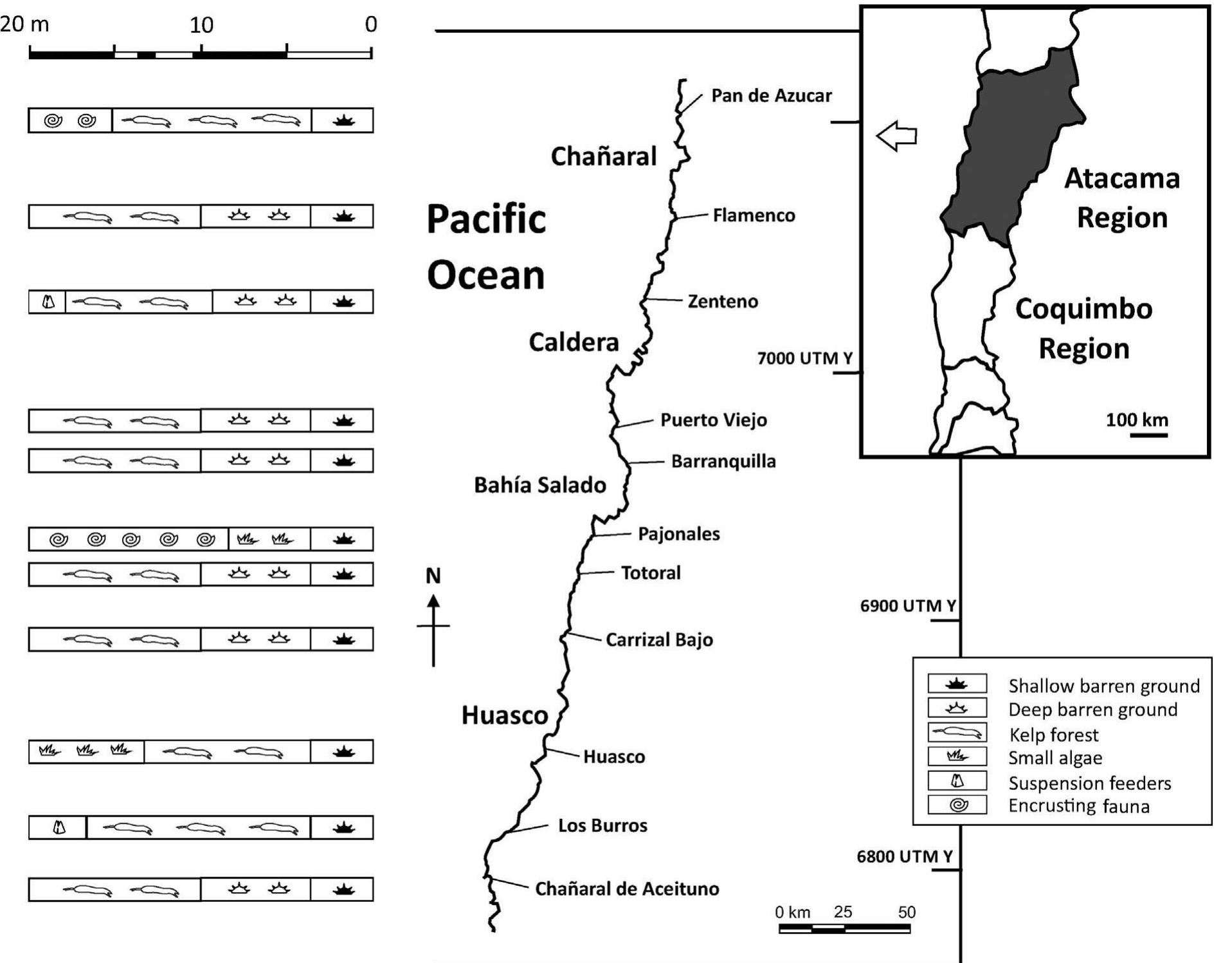 (PDF) Vertical distribution of rocky subtidal assemblages along the ...
