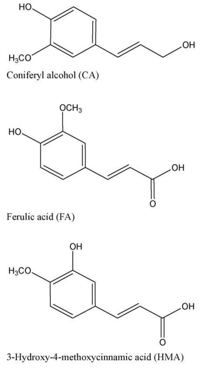 Chemical structures of ferulic acid and its derivatives.