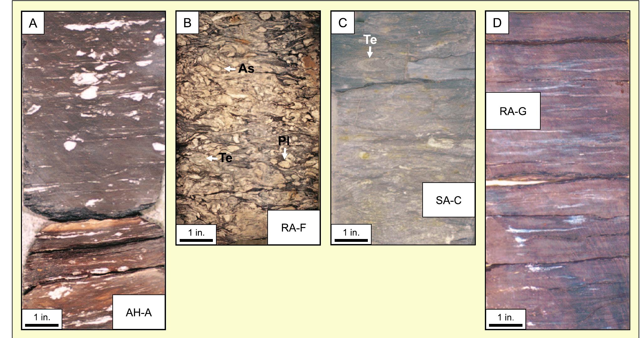 Paleogeographic map showing the depositional environments of