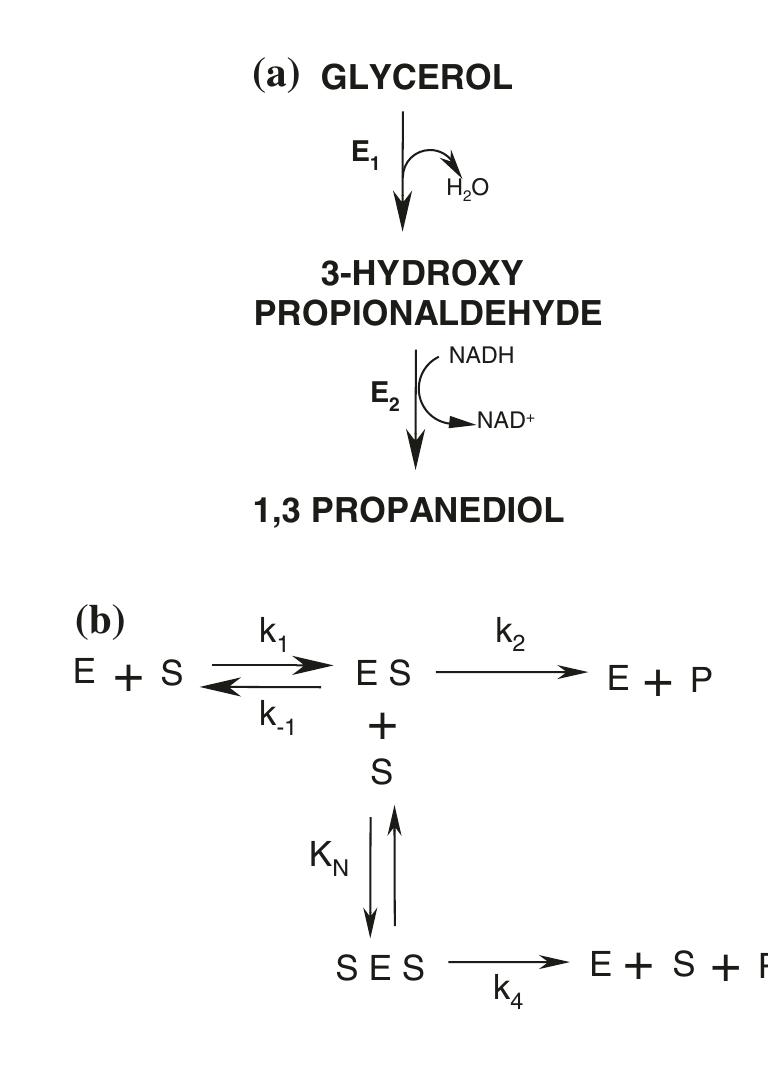 (PDF) Physical and Chemical Mechanisms of Ultrasound in Biofuel Synthesis