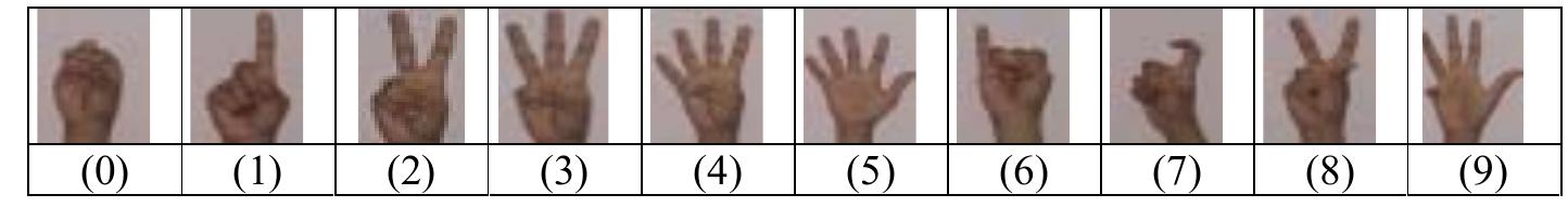 Figure 1 - from Sign Language Recognition using Mediapipe