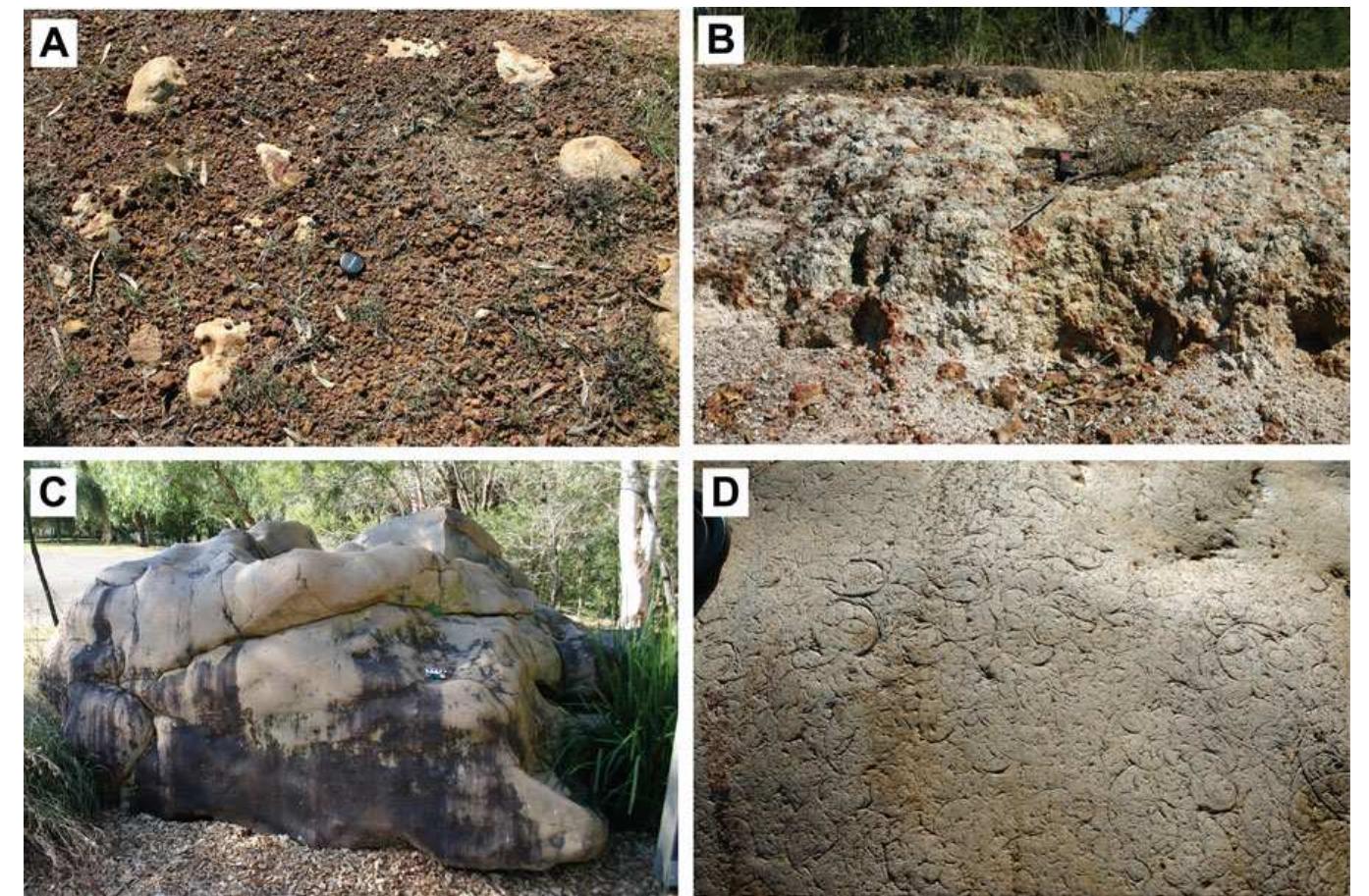 Silcate Rocks Extinction (PDF) Paleochannels and Patches: A Geoarchaeological Assessment of ...
