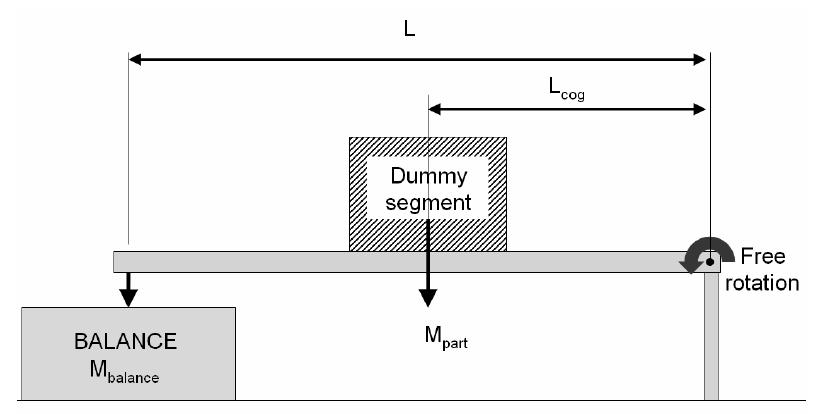 Figure 34 - from WorldSID small female side dummy