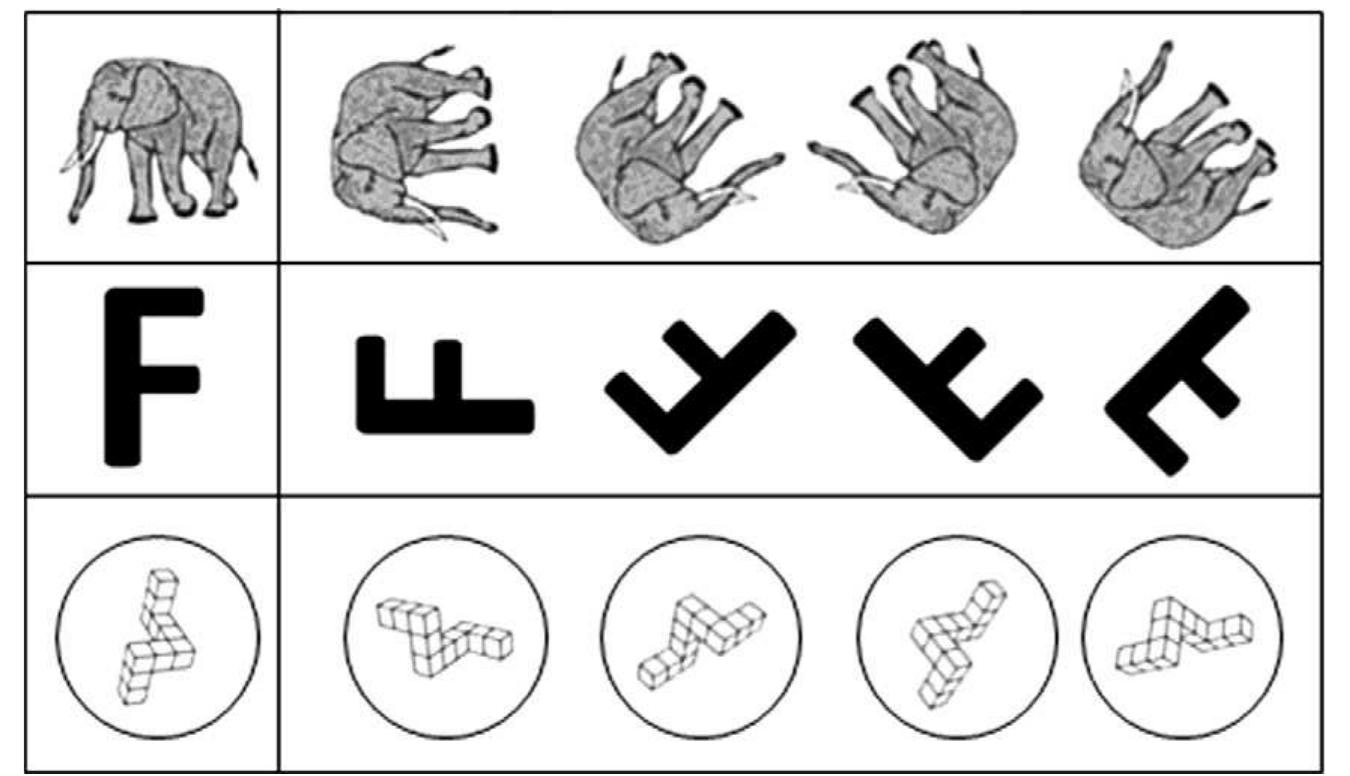 Sample items of the mental-rotation tasks (animal pictures,
