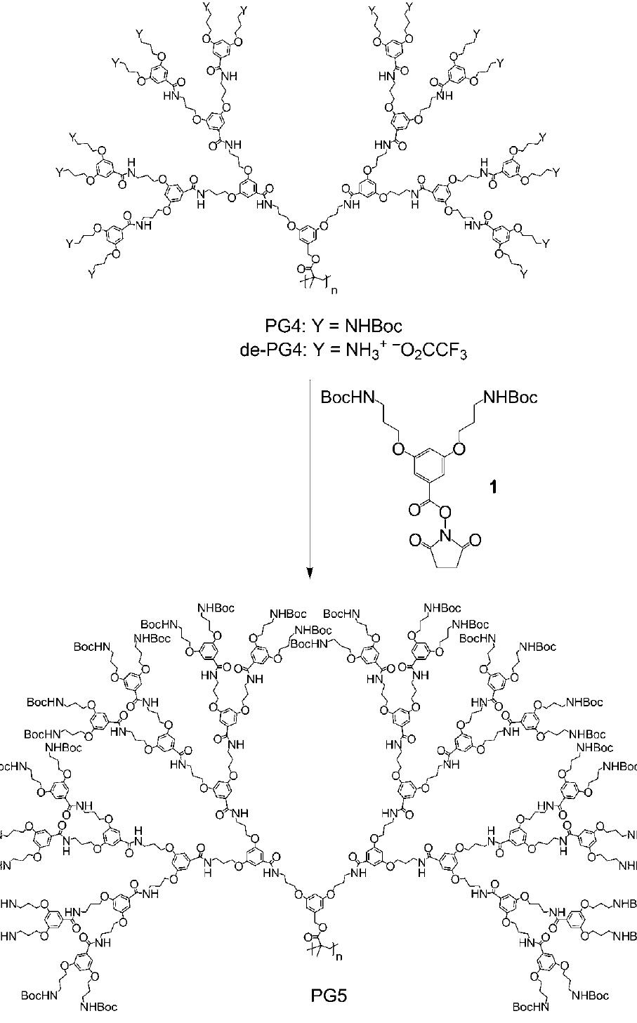 Pg5 Structure (PDF) The Largest Synthetic Structure with Molecular Precision: Towards ...