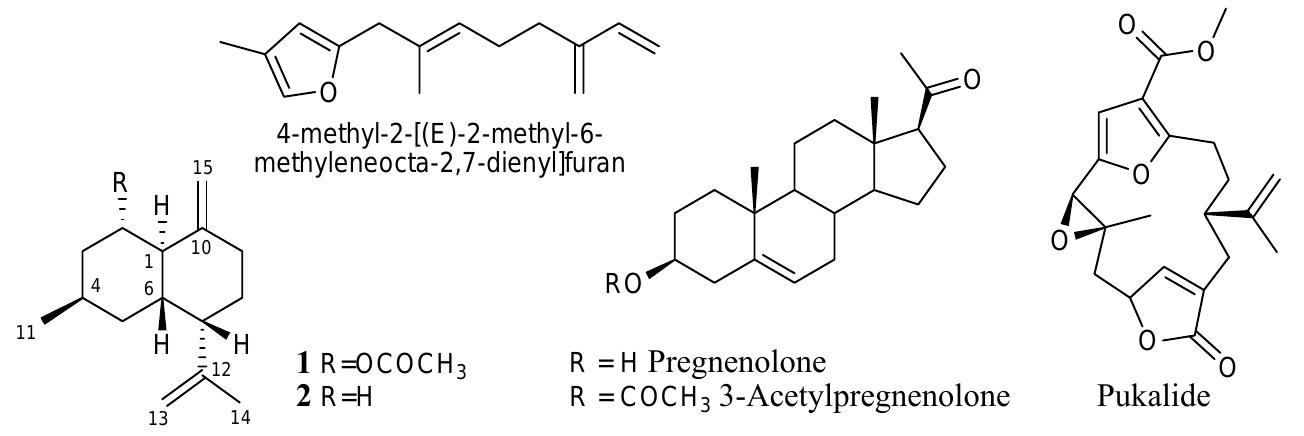 PDF) Prunus spinosa fresh fruit juice: Antioxidant activity in