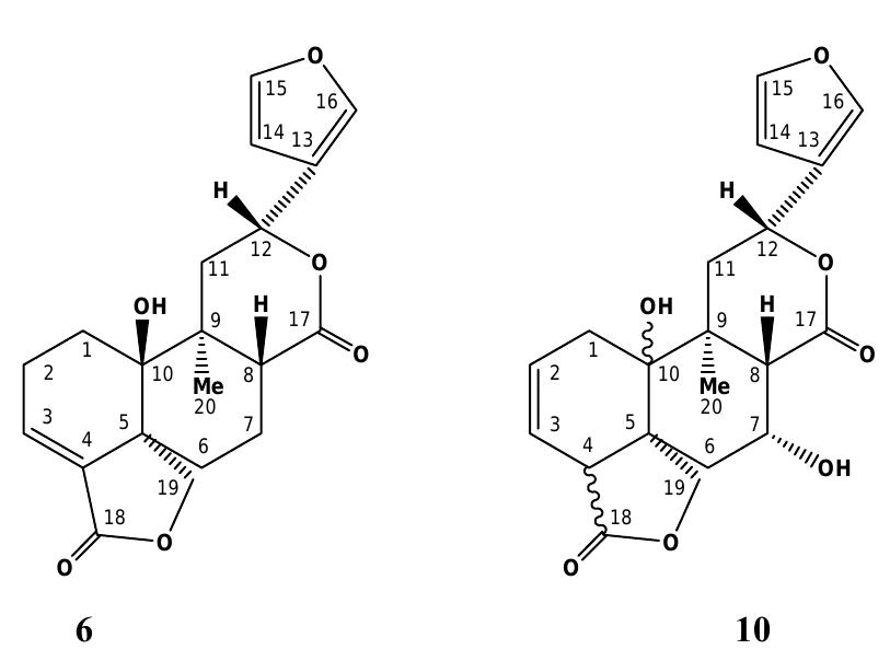 PDF) Prunus spinosa fresh fruit juice: Antioxidant activity in