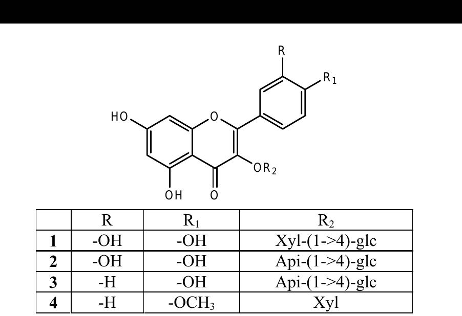 PDF) Prunus spinosa fresh fruit juice: Antioxidant activity