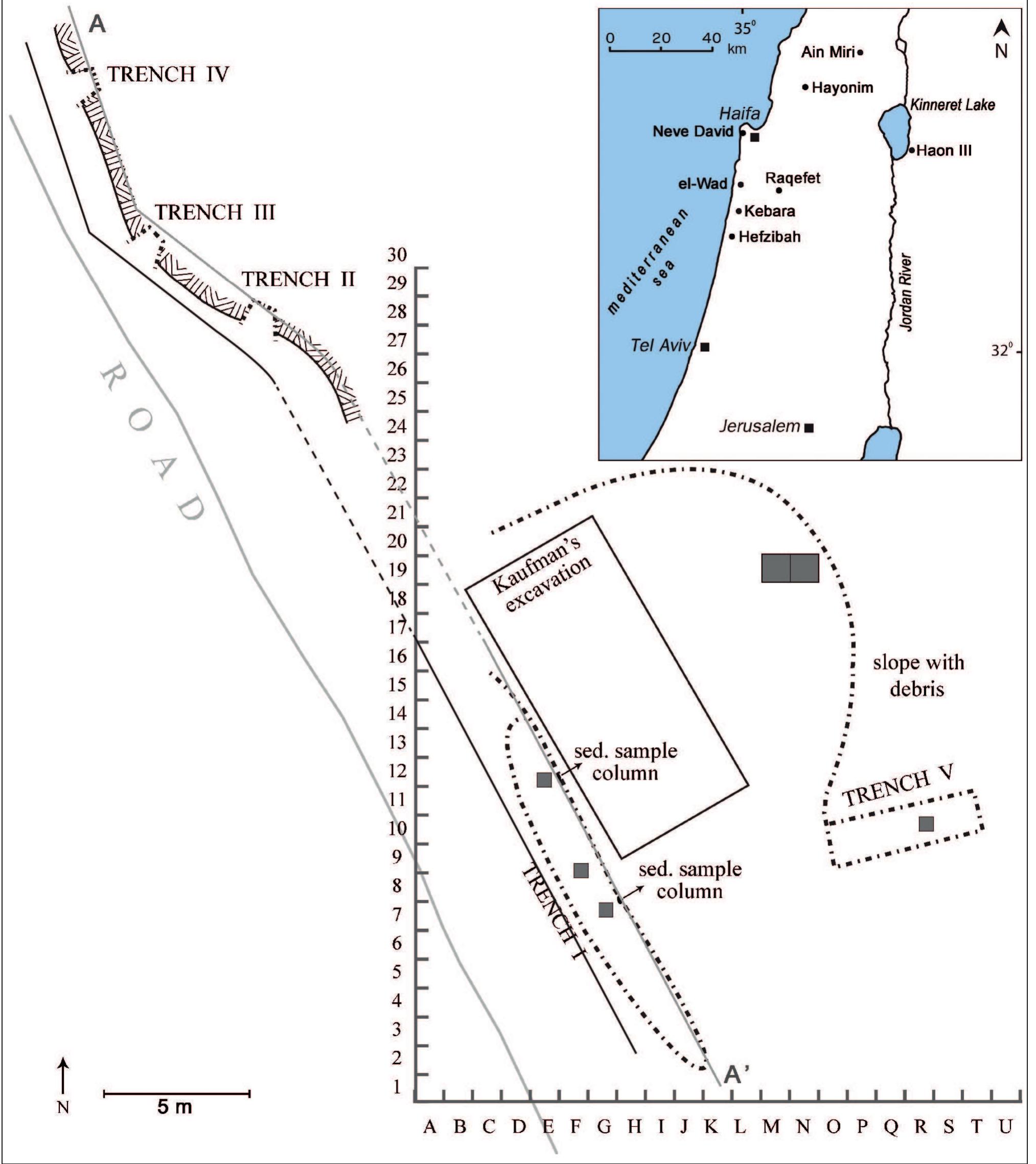 Figure 1. Location map of Neve David and other sites mentioned in the text and a general plan of the site. The excavation squares are marked in dark gray. 