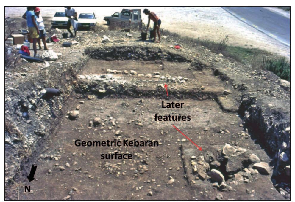 Figure 3. Photograph taken at the end of the 1987 season, showing the central and southern parts of the trench. Note the Geometric Kebaran surface with the stone scatters, and the intrusive features.  deposits are intact and amenable to excavation, to locate 