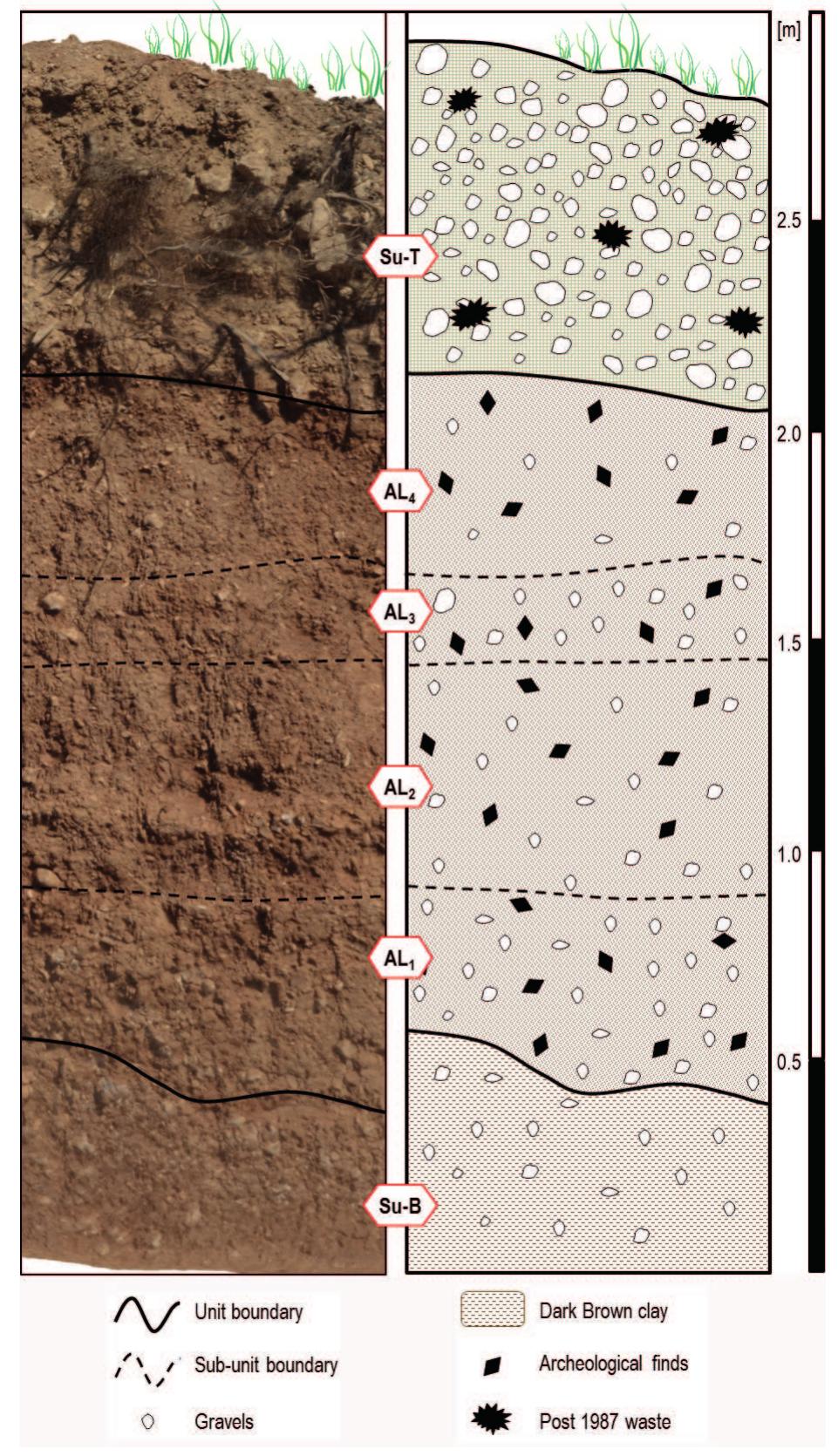 Figure 7. Section TIN in Trench I. 