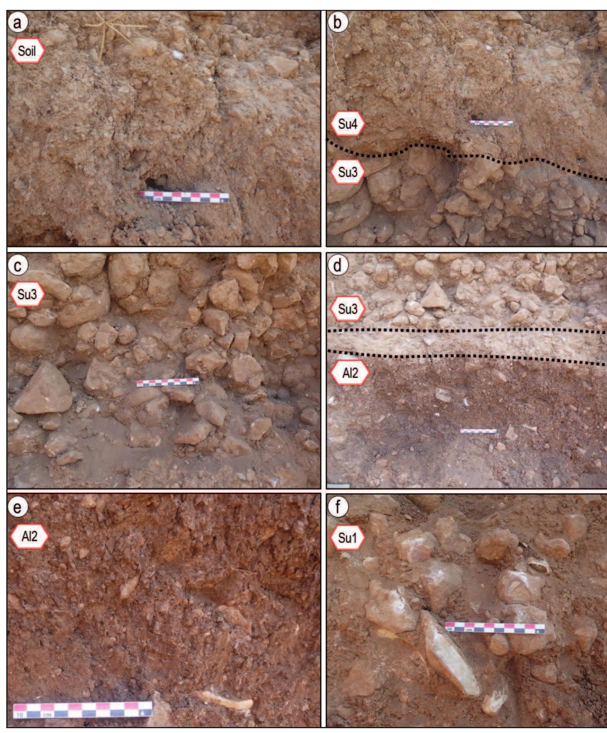 Figure 12. Close-up images of Trench IV. a) Recent soil, composed of fine, brown to greyish clays and low amount of pebbles and cobble size gravels, including roots and pottery shards; b) Su4 overlays Su3 with a sharp boundary; c) Su3 comprises pebbles to boulders in a clast supported structure; d) Su3 overlaps the archeological layer with a sharp boundary and the thin whitish fine sediment; e) Close-up to the archeological layer, comprising thin filaments of carbonate, numerous flint implements, bones and a shell; f) Sul is composed of angular, poorly sorted limestone and chert gravel, covered in carbonate coatings. The matrix consists of reddish clay, cemented by carbonates forming a calcrete horizon at “Stage IV”. 