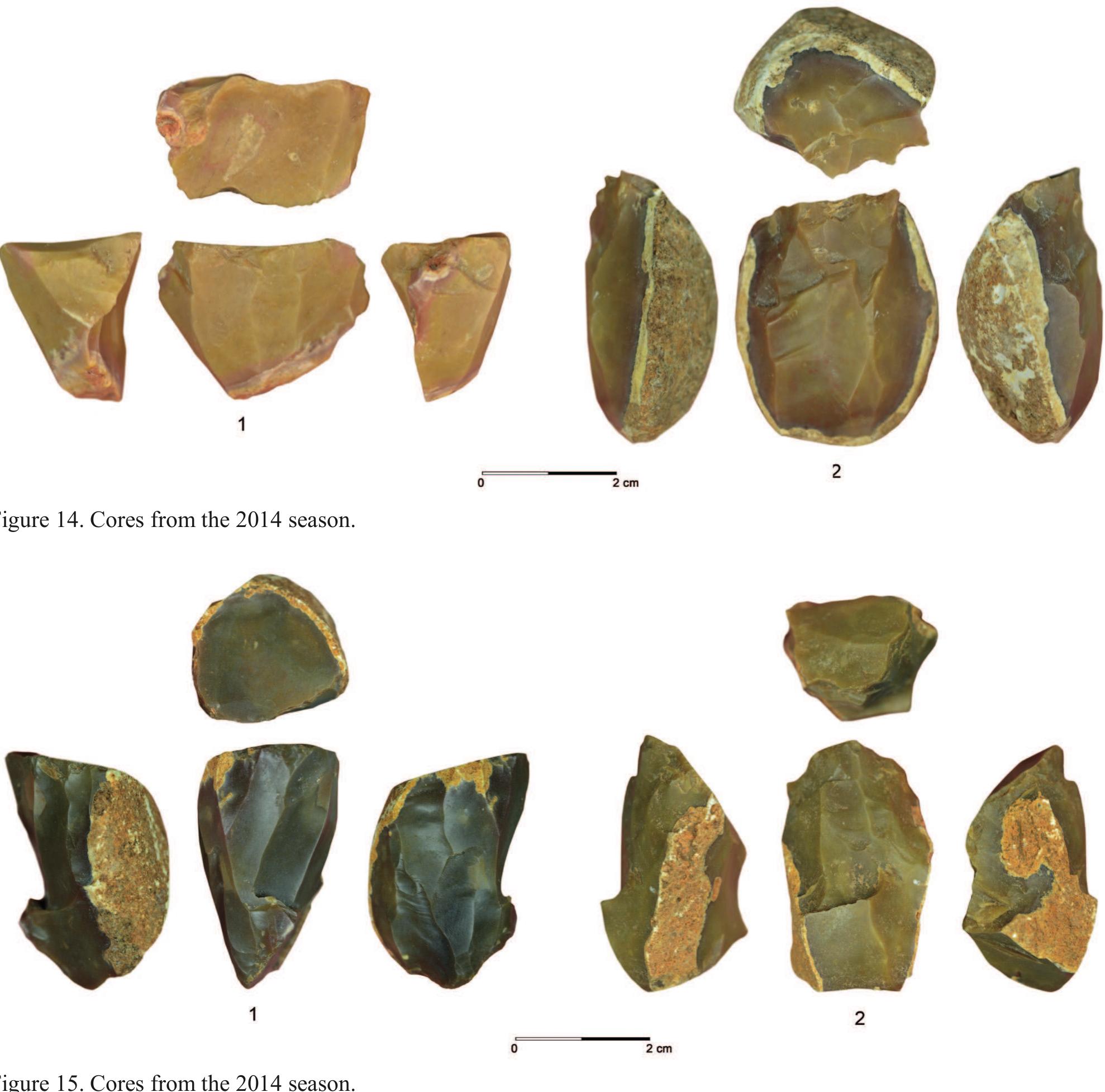 stouched blades are not uniform in shape and size (Fig. :3, 4). Most of the blades are broken, with only four ecimens complete. Two blades are naturally backed ‘ives. Five blades have ventral retouch, while generally ey have regular retouch on one edge, and rarely on two  Retouched flakes appear to be mostly broken; some have  they have regular retouch on one edge, and rarely on twe  Retouched blades are not uniform in shape and size (Fig.  Microliths are the most dominant component of the tools, 